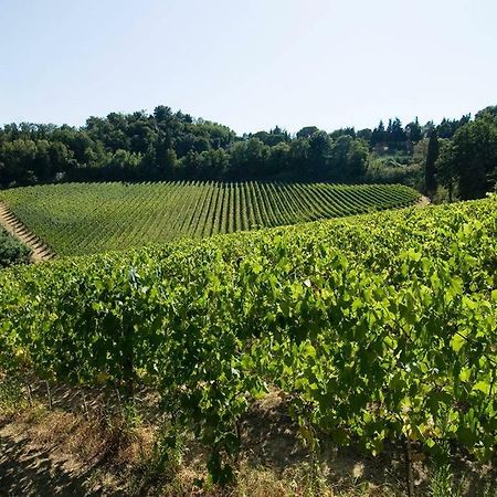 Stunning Country House Overlooking Tuscany Hills Lorenzana Zewnętrze zdjęcie